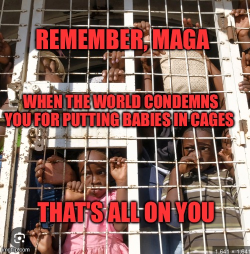 MAGA puts babies in cages | REMEMBER, MAGA; WHEN THE WORLD CONDEMNS YOU FOR PUTTING BABIES IN CAGES; THAT'S ALL ON YOU | image tagged in republicans put babies in cages | made w/ Imgflip meme maker