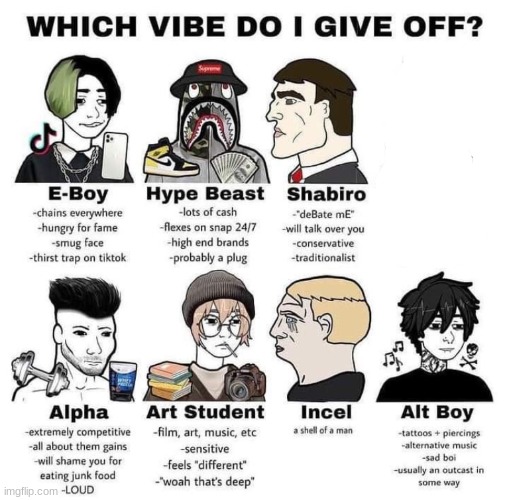 Which vibe do I give off | image tagged in which vibe do i give off | made w/ Imgflip meme maker