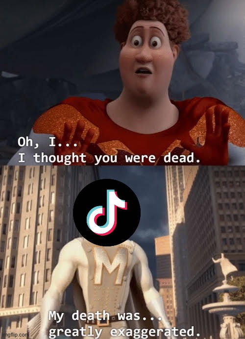 no not cringe dance app not very wholesome chungus | image tagged in my death was greatly exaggerated,tiktok,reddit,social media,megamind,memes | made w/ Imgflip meme maker