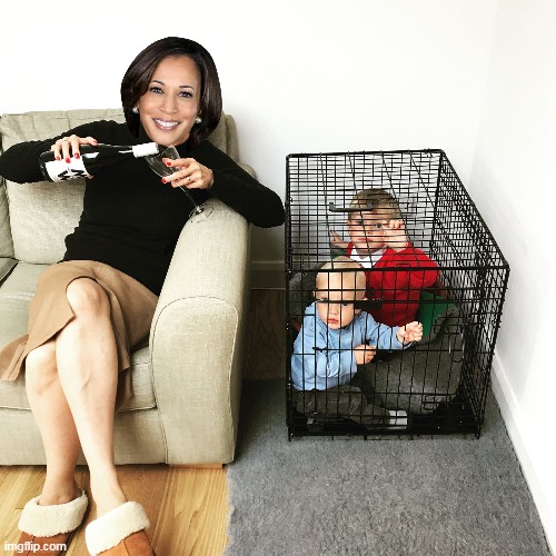 FINALLY no more kids in cages | image tagged in poor me pour me kamala kids cages meme | made w/ Imgflip meme maker