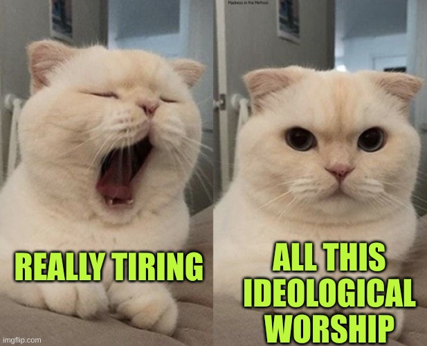 Yawning Cat What Do You Think? | REALLY TIRING ALL THIS IDEOLOGICAL WORSHIP | image tagged in yawning cat what do you think | made w/ Imgflip meme maker