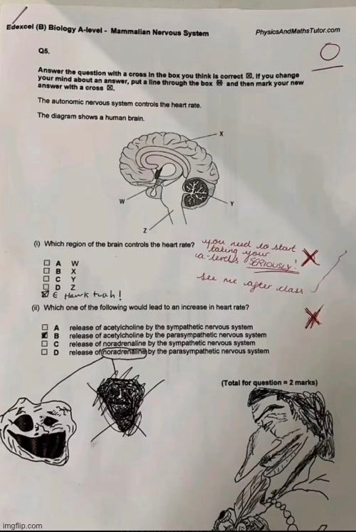 Guys why’d the teacher give me an f?? | image tagged in gifs,memes,funny,shitpost,brainrot,msmg | made w/ Imgflip meme maker