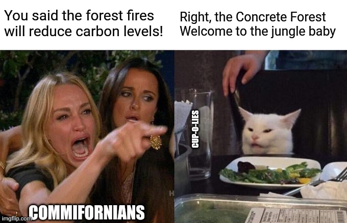 Woman Yelling At Cat | You said the forest fires will reduce carbon levels! Right, the Concrete Forest 
Welcome to the jungle baby; CUP-O-LIES; COMMIFORNIANS | image tagged in memes,woman yelling at cat | made w/ Imgflip meme maker