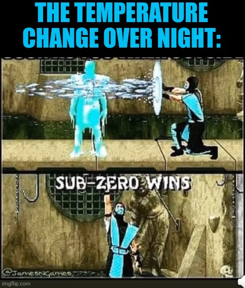 IT DROPPED SO FAST | THE TEMPERATURE CHANGE OVER NIGHT: | image tagged in winter,cold weather,freezing cold,mortal kombat | made w/ Imgflip meme maker