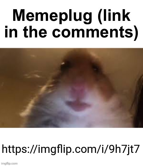 Memeplug | https://imgflip.com/i/9h7jt7 | image tagged in memeplug | made w/ Imgflip meme maker