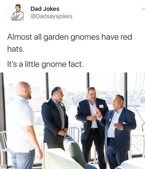 Facts | image tagged in dad laughs,facts,gnome,gnomes | made w/ Imgflip meme maker