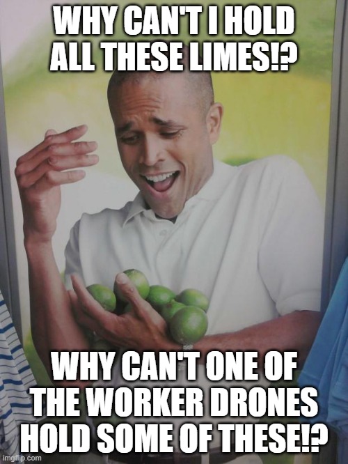 Can a worker drone hold these limes for him? | WHY CAN'T I HOLD ALL THESE LIMES!? WHY CAN'T ONE OF THE WORKER DRONES HOLD SOME OF THESE!? | image tagged in memes,why can't i hold all these limes,murder drones | made w/ Imgflip meme maker