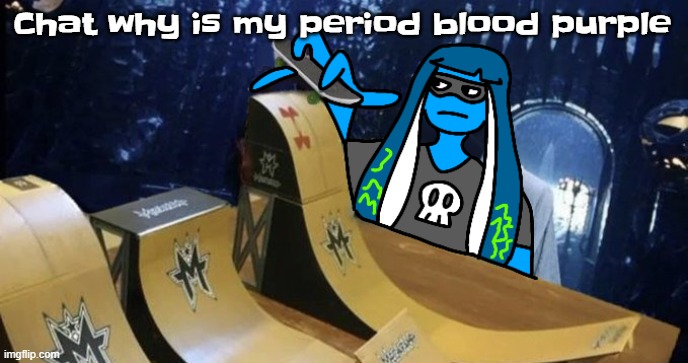 Skatezboard | Chat why is my period blood purple | image tagged in skatezboard | made w/ Imgflip meme maker