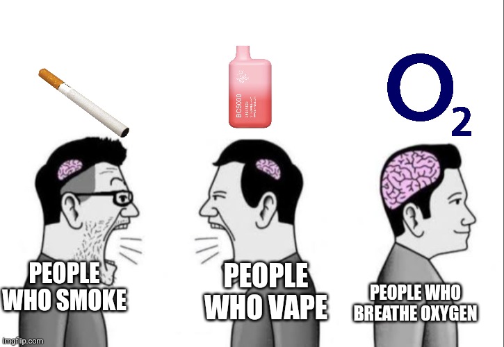 Just breathe air | PEOPLE WHO SMOKE; PEOPLE WHO VAPE; PEOPLE WHO BREATHE OXYGEN | image tagged in 2 dumbass arguing while a smartass is ignoring them,lungs,smoking,vaping,oxygen,memes | made w/ Imgflip meme maker