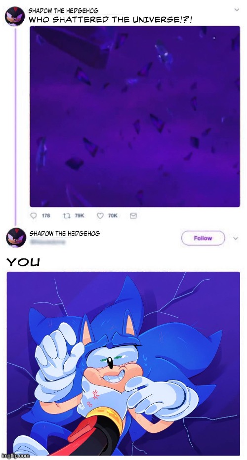 Sonadow prime | image tagged in sonadow prime | made w/ Imgflip meme maker