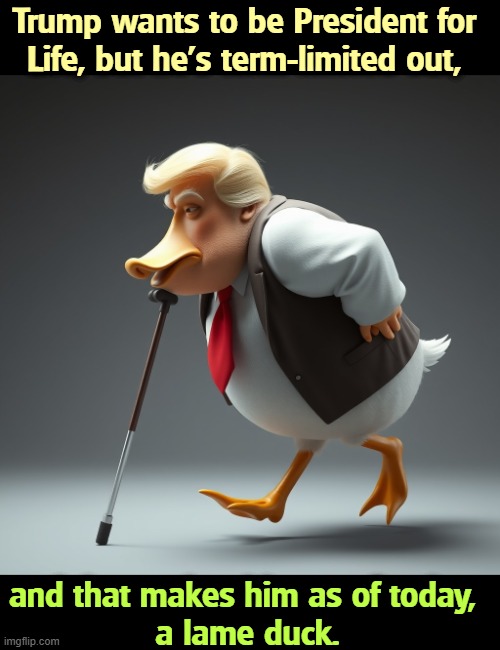 Trump wants to be President for 
Life, but he's term-limited out, and that makes him as of today, 
a lame duck. | image tagged in trump,president,lame duck,term limits | made w/ Imgflip meme maker