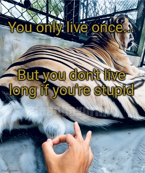 Remember | You only live once... But you don't live long if you're stupid; deadboxprime | image tagged in happy new year 2025 | made w/ Imgflip meme maker