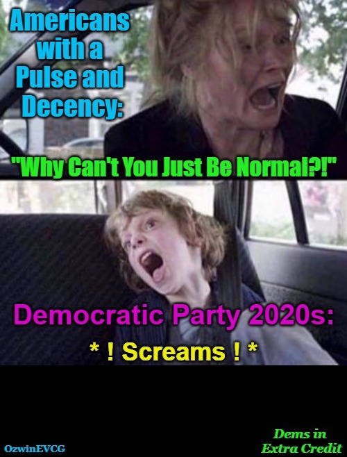 Dems in Extra Credit | image tagged in screaming,clown world,liberals,2020s,invasion of the mind snatchers,democratic party | made w/ Imgflip meme maker