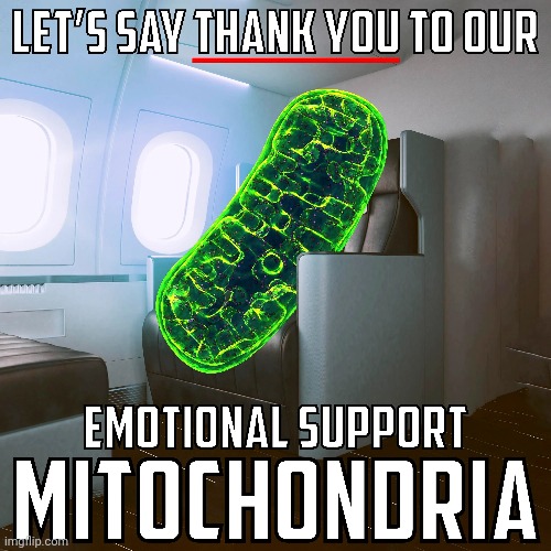 Couldn't have done it without him | made w/ Imgflip meme maker