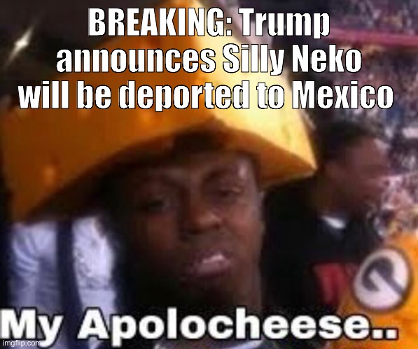 My apolocheese.. | BREAKING: Trump announces Silly Neko will be deported to Mexico | image tagged in my apolocheese | made w/ Imgflip meme maker