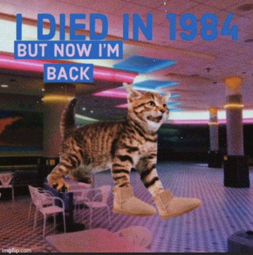 I always survive | made w/ Imgflip meme maker