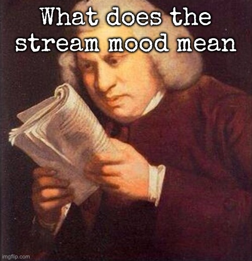 What did I just read? | What does the stream mood mean | image tagged in what did i just read,msmg | made w/ Imgflip meme maker