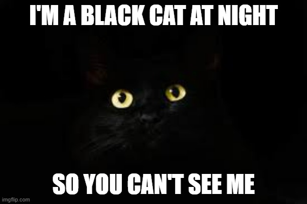 memes by Brad - My black cat thinks she can't be seen at night - humor - | I'M A BLACK CAT AT NIGHT; SO YOU CAN'T SEE ME | image tagged in funny,cats,kitten,black cat,night,humor | made w/ Imgflip meme maker