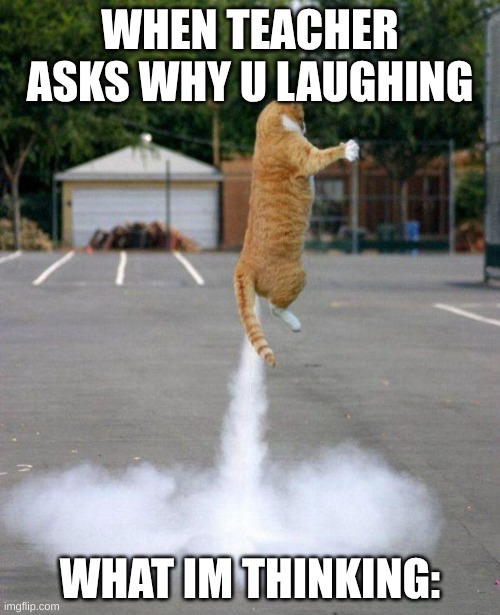 school | WHEN TEACHER ASKS WHY U LAUGHING; WHAT IM THINKING: | image tagged in rocket cat | made w/ Imgflip meme maker