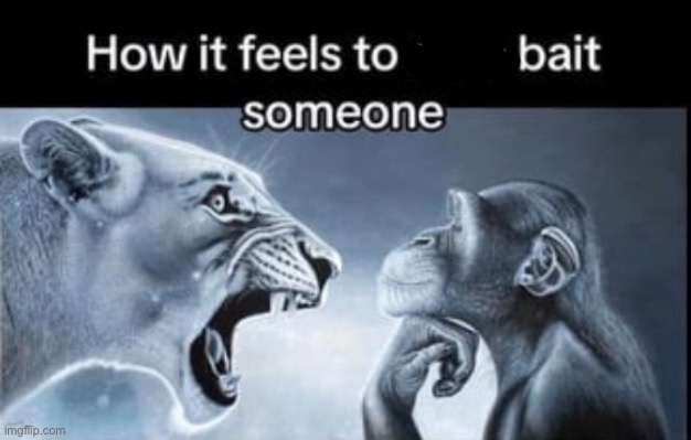 How it feels to rage bait someone | image tagged in how it feels to rage bait someone | made w/ Imgflip meme maker