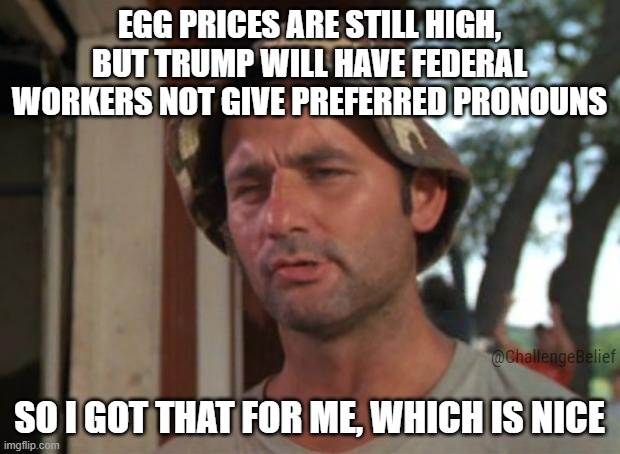 Preferred pronouns | EGG PRICES ARE STILL HIGH, BUT TRUMP WILL HAVE FEDERAL WORKERS NOT GIVE PREFERRED PRONOUNS; SO I GOT THAT FOR ME, WHICH IS NICE; @ChallengeBelief | image tagged in memes,so i got that goin for me which is nice | made w/ Imgflip meme maker