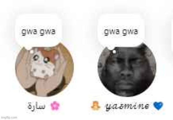 gwa gwa | made w/ Imgflip meme maker