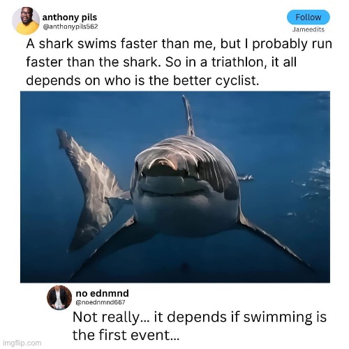 My man Anthony gonna DNF | image tagged in triathlon,swim,shark,running,cycling | made w/ Imgflip meme maker