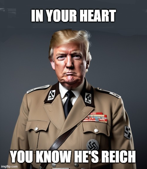 Trump Is Reich | IN YOUR HEART; YOU KNOW HE'S REICH | image tagged in donald trump,third reich,i hate donald trump,trump sucks | made w/ Imgflip meme maker