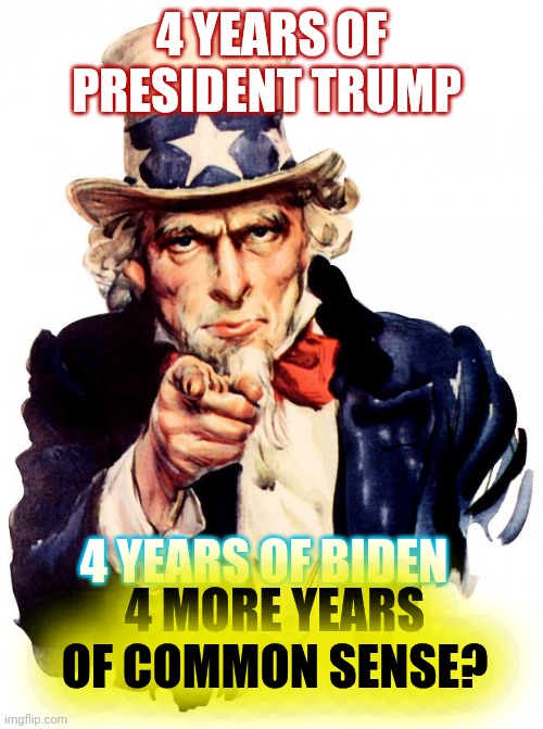 and Jimmy Carter Rolled | 4 YEARS OF PRESIDENT TRUMP; 4 YEARS OF BIDEN; 4 MORE YEARS OF COMMON SENSE? | image tagged in memes,uncle sam,shadow president | made w/ Imgflip meme maker