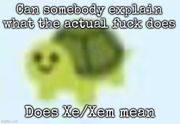 I understand is lgbtq shit but what the fuck is this | Can somebody explain what the actual fuck does; Does Xe/Xem mean | image tagged in low quality turtle,msmg | made w/ Imgflip meme maker