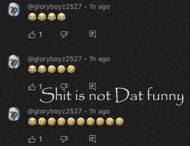 Shit is not Dat funny | image tagged in shit is not dat funny | made w/ Imgflip meme maker