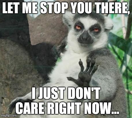 Stoner Lemur | LET ME STOP YOU THERE, I JUST DON'T CARE RIGHT NOW... | image tagged in memes,stoner lemur | made w/ Imgflip meme maker