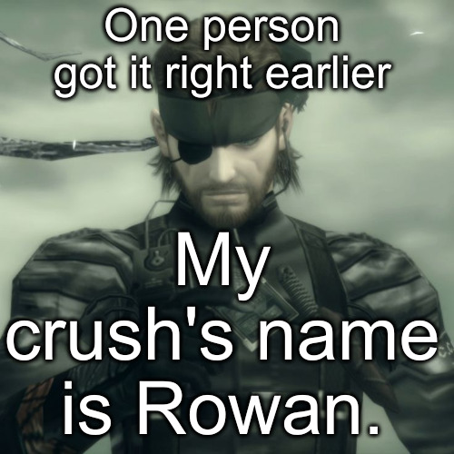 yes, I am gay for him. | One person got it right earlier; My crush's name is Rowan. | image tagged in metal gear solid snake | made w/ Imgflip meme maker