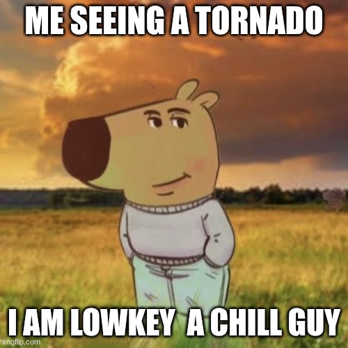 just check it | ME SEEING A TORNADO; I AM LOWKEY  A CHILL GUY | image tagged in chill guy | made w/ Imgflip meme maker