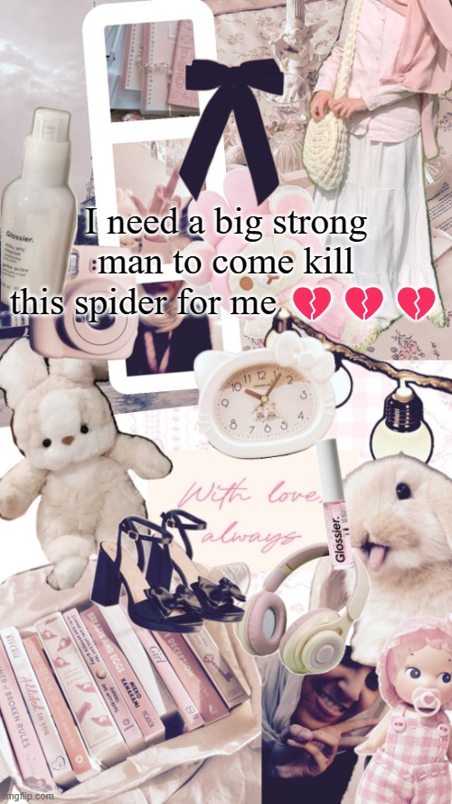 ... | I need a big strong man to come kill this spider for me 💔💔💔 | image tagged in bubbly _ bun's temp | made w/ Imgflip meme maker