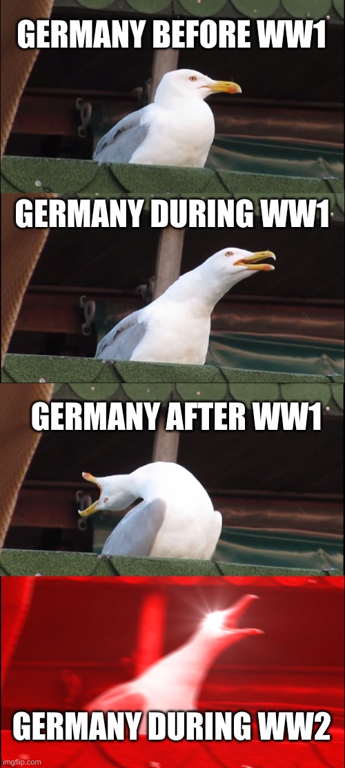 Germany Empire ww1 and post ww1 | GERMANY BEFORE WW1; GERMANY DURING WW1; GERMANY AFTER WW1; GERMANY DURING WW2 | image tagged in memes,inhaling seagull | made w/ Imgflip meme maker