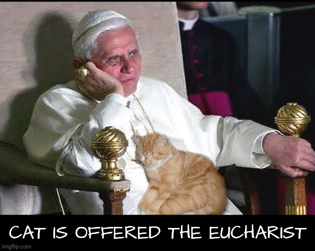 CAT IS OFFERED THE EUCHARIST | made w/ Imgflip meme maker