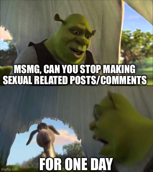 . | MSMG, CAN YOU STOP MAKING SEXUAL RELATED POSTS/COMMENTS; FOR ONE DAY | image tagged in shrek five minutes | made w/ Imgflip meme maker