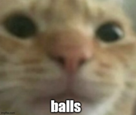 Balls | image tagged in balls | made w/ Imgflip meme maker