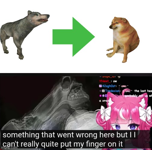 something went wrong | image tagged in something went wrong,evolution,what,why,how | made w/ Imgflip meme maker