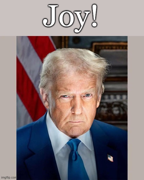 Proper use of a campaign slogan, Trump Style | Joy! | image tagged in trump official photo | made w/ Imgflip meme maker