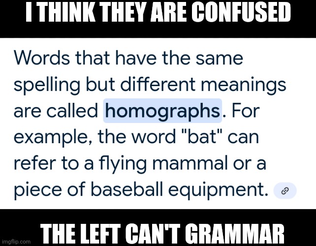 I THINK THEY ARE CONFUSED THE LEFT CAN'T GRAMMAR | made w/ Imgflip meme maker