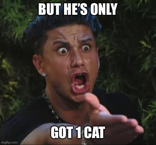 DJ Pauly D Meme | BUT HE’S ONLY GOT 1 CAT | image tagged in memes,dj pauly d | made w/ Imgflip meme maker