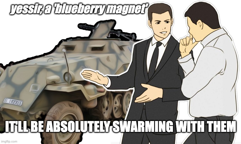 Hell Let Loose - Half Track | yessir, a 'blueberry magnet'; IT'LL BE ABSOLUTELY SWARMING WITH THEM | image tagged in hll half track | made w/ Imgflip meme maker