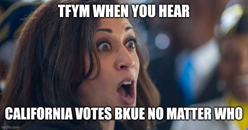 kamala harriss | TFYM WHEN YOU HEAR CALIFORNIA VOTES BLUE NO MATTER WHO | image tagged in kamala harriss | made w/ Imgflip meme maker