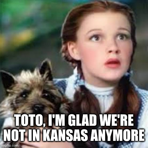 I don’t think we’re in Kansas anymore Toto | TOTO, I'M GLAD WE'RE NOT IN KANSAS ANYMORE | image tagged in i don t think we re in kansas anymore toto | made w/ Imgflip meme maker