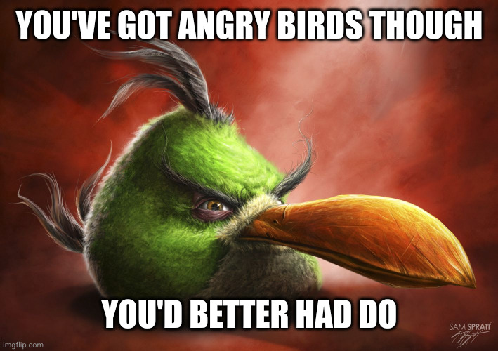 Realistic Angry Bird | YOU'VE GOT ANGRY BIRDS THOUGH YOU'D BETTER HAD DO | image tagged in realistic angry bird | made w/ Imgflip meme maker