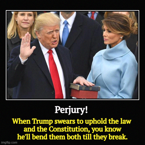 President of all the people? Not really. | Perjury! | When Trump swears to uphold the law 
and the Constitution, you know he'll bend them both till they break. | image tagged in funny,demotivationals,trump,trump inauguration,perjury,liar | made w/ Imgflip demotivational maker