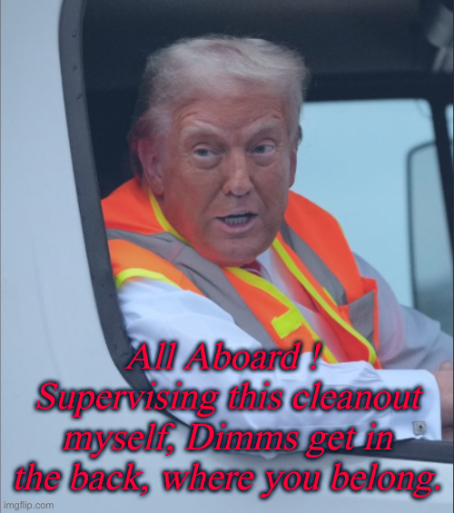 I'll Donate For Compost Removal | All Aboard ! 
Supervising this cleanout myself, Dimms get in the back, where you belong. | image tagged in get in loser,political meme,politics,funny memes,funny | made w/ Imgflip meme maker