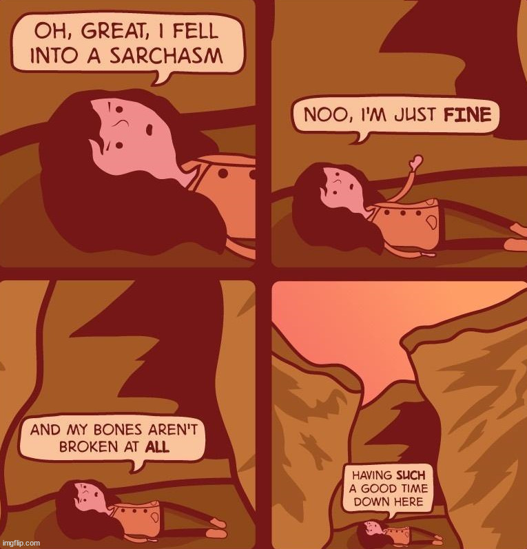 Sarchasm | image tagged in repost | made w/ Imgflip meme maker